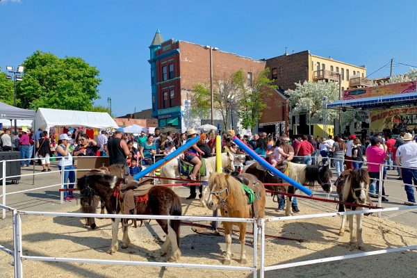 Ponies at Cinco de Mayo festival