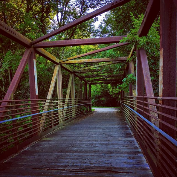 brown bridge w/ green trees